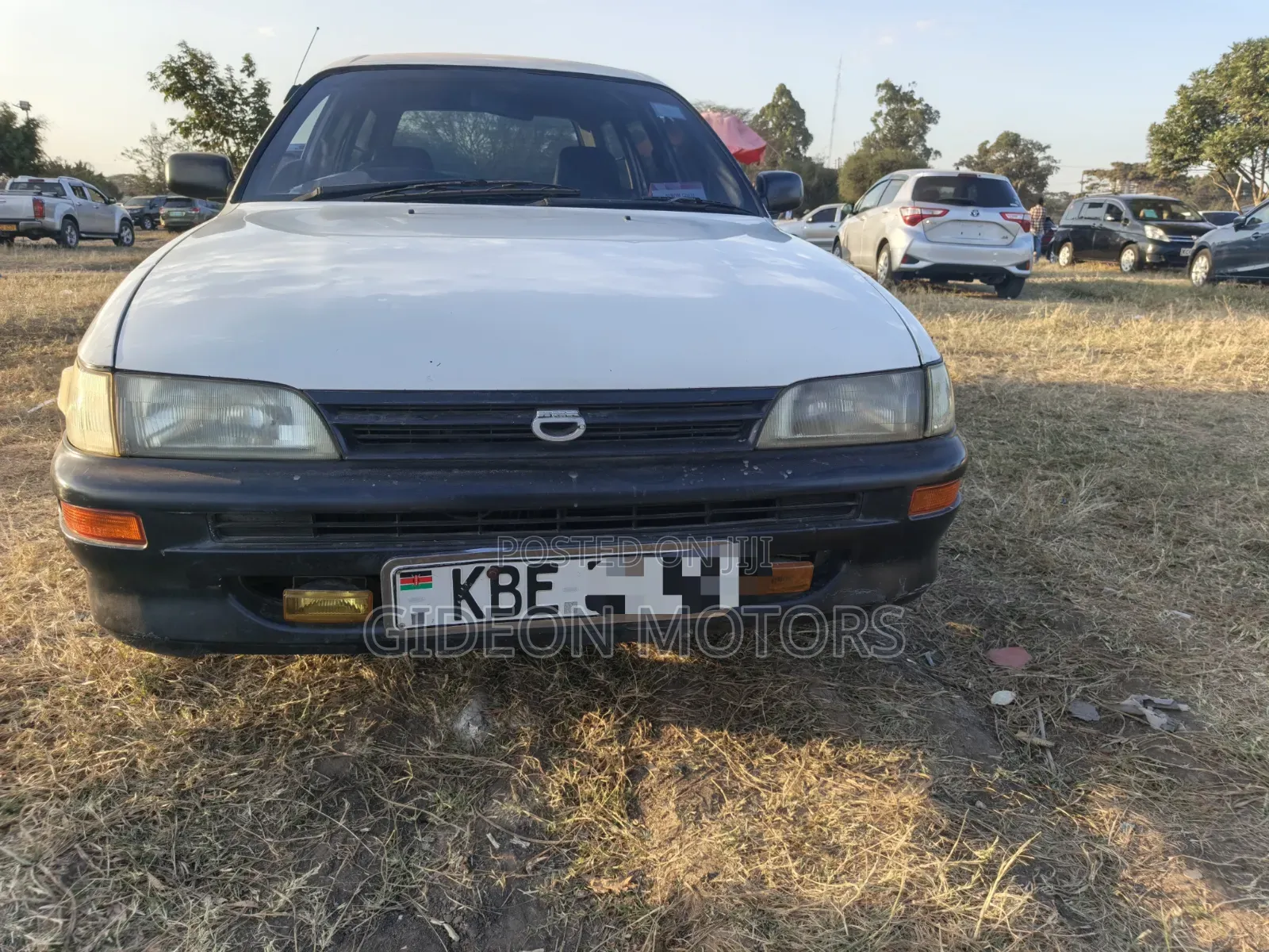 Toyota Corolla 2003 White