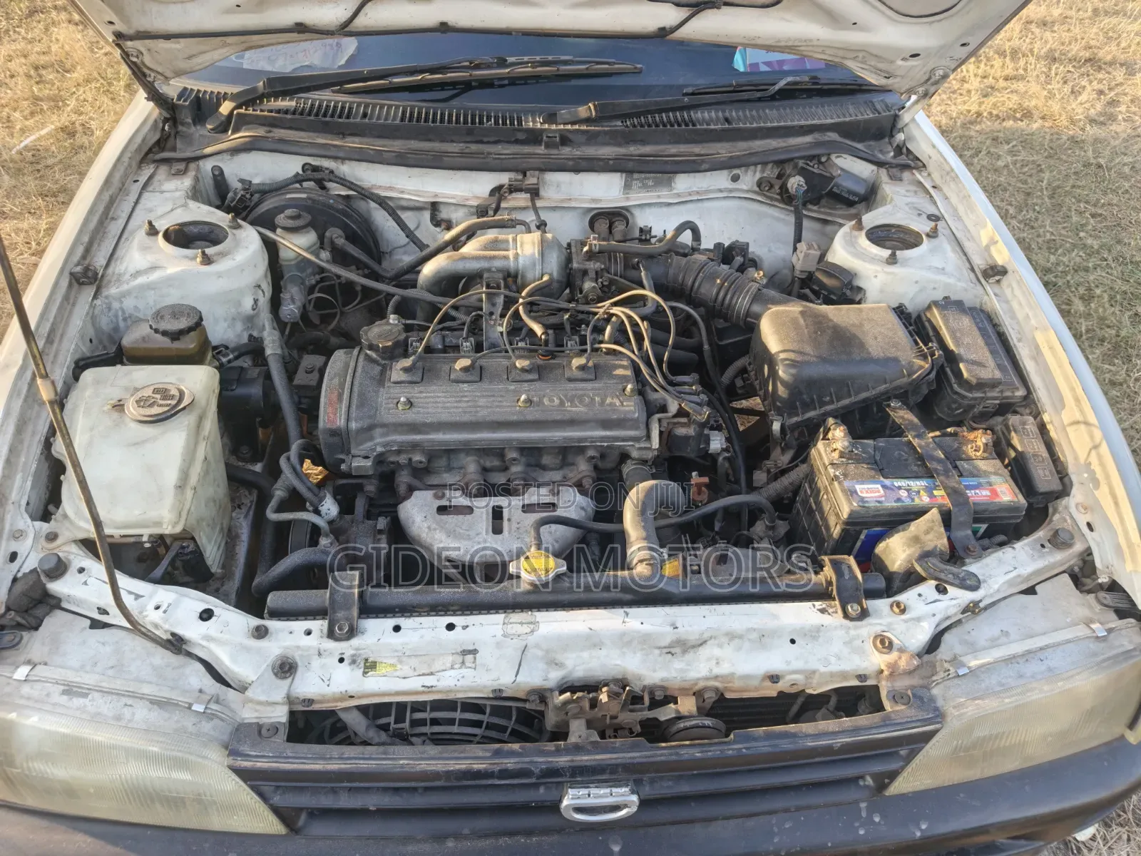 Toyota Corolla 2003 White