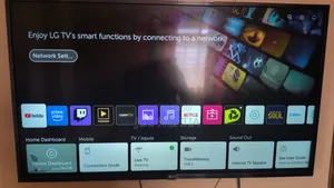 LG 43 Inch TV