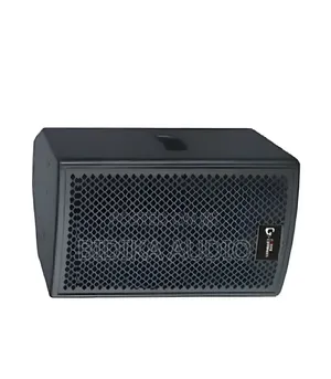 Thunder Sound TH110 Passive Speaker