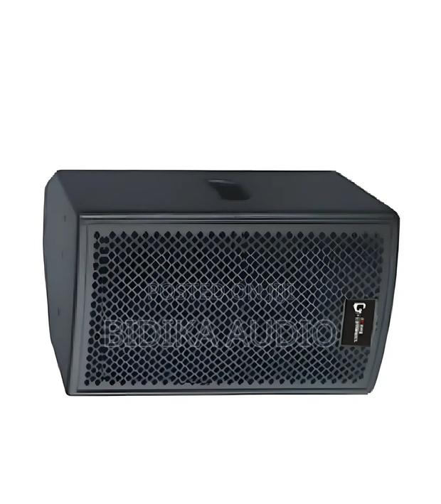Thunder Sound TH110 Passive Speaker