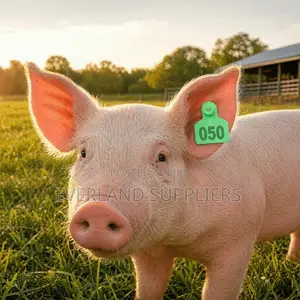 Small Numbered Ear Tags for Record of Pigs