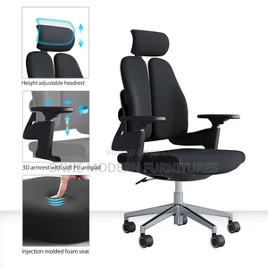 High -Back Dual Spinal Cord Ergonomic Office Chair