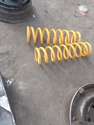 Ex Japan Brado Front Heavy Deuty Coil Spring for Prado