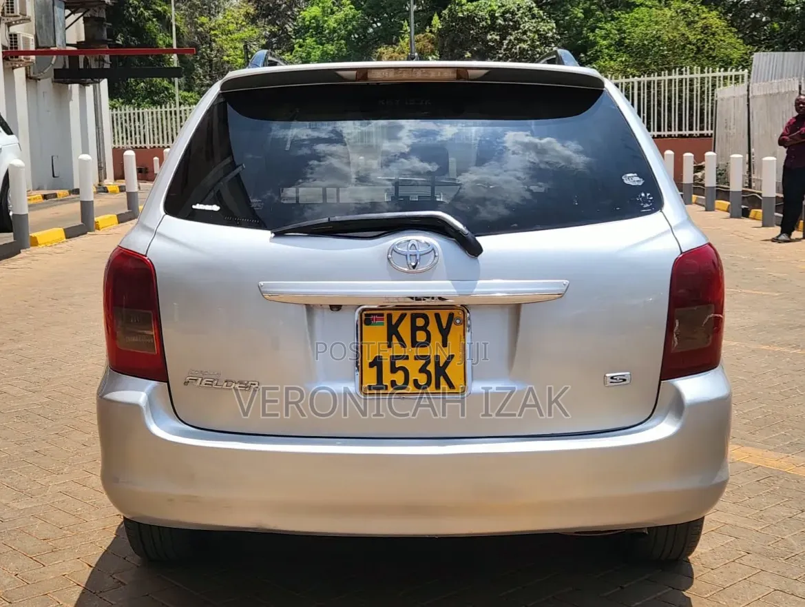 Toyota Corolla Fielder 2007 Silver