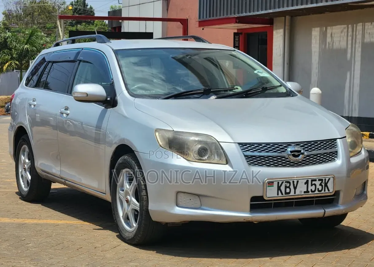 Toyota Corolla Fielder 2007 Silver