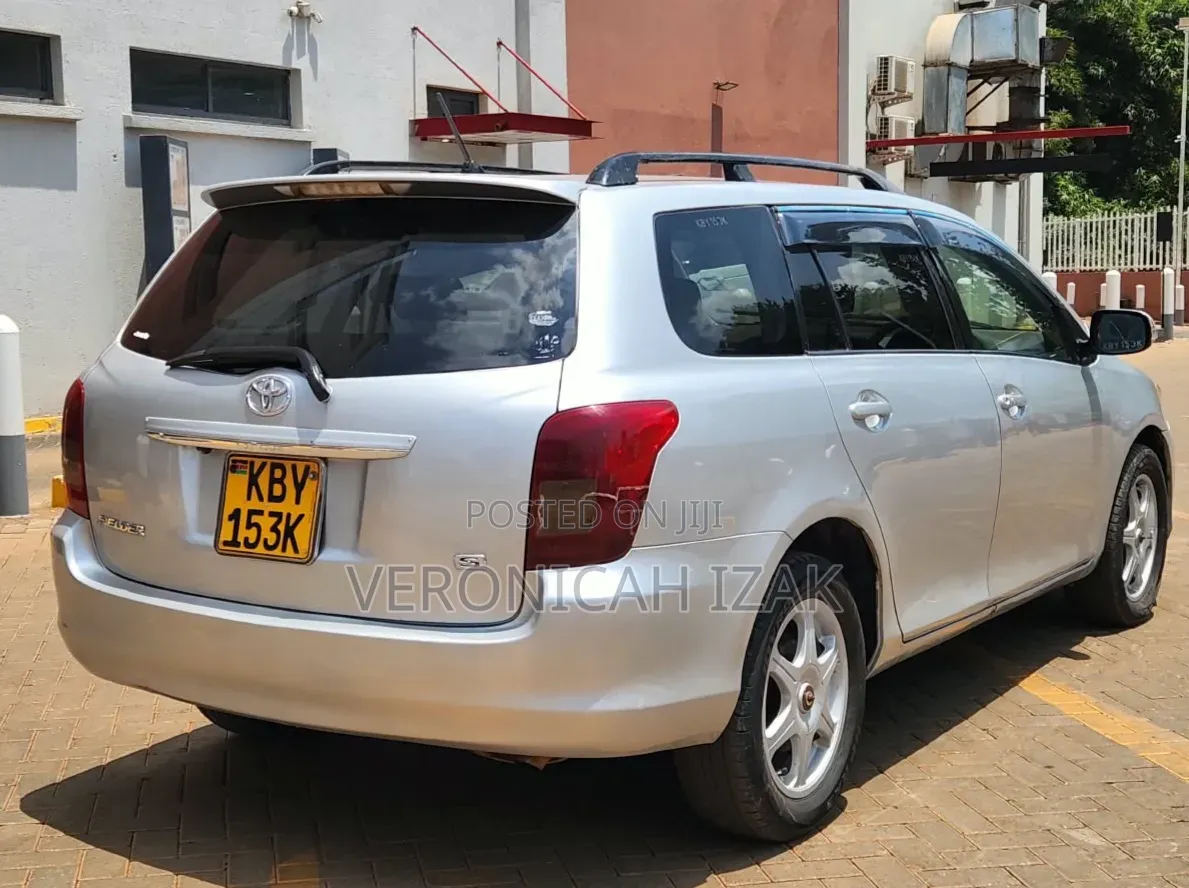 Toyota Corolla Fielder 2007 Silver