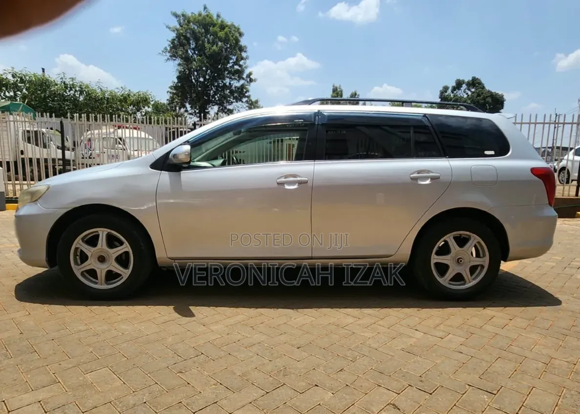 Toyota Corolla Fielder 2007 Silver