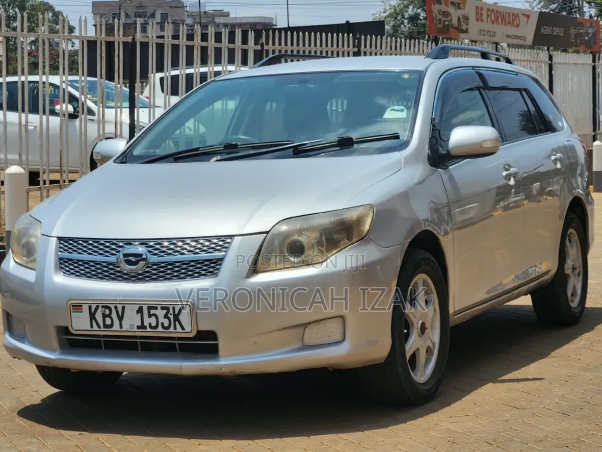 Toyota Corolla Fielder 2007 Silver