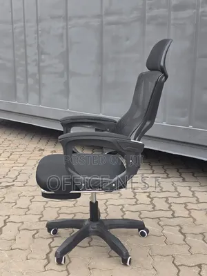Ergonomic Executive Office Chair With Footrest - Reclining Mesh Chair