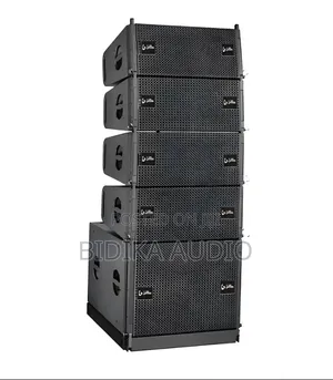 Thunder Sound TS118 Line Array
