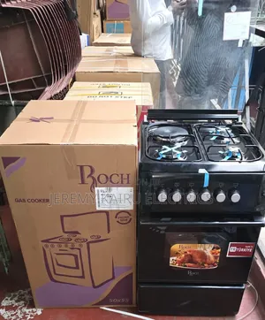 Roch Standing Cooker