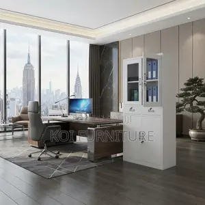 Office Cabinet; Two Doors Stainless Office Staorage Files Cabinet