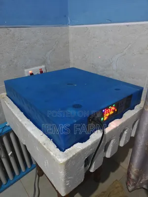 Fully Automatic Used 64 Eggs Incubator