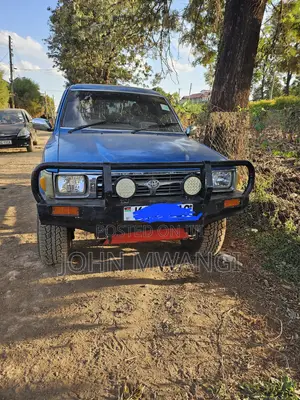 Toyota Hilux 1994 Blue