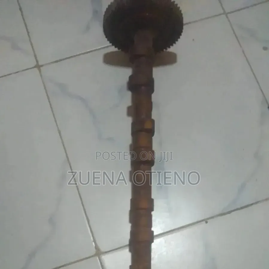 Engine Cam Shaft