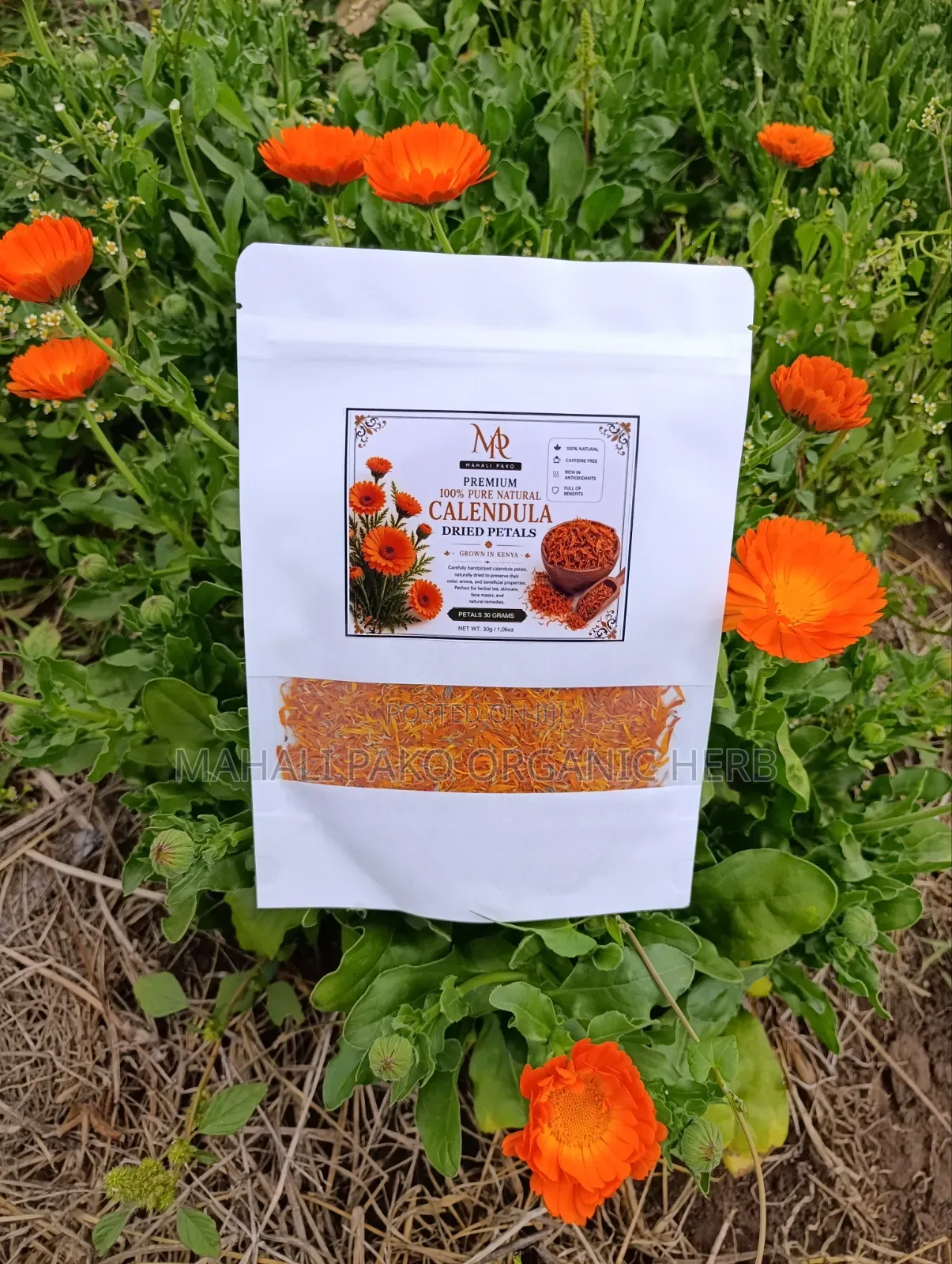 Natural Calendula Series (Calendula Officinalis): Flowers Seeds