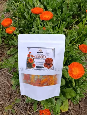Natural Calendula Series (Calendula Officinalis): Flowers Seeds