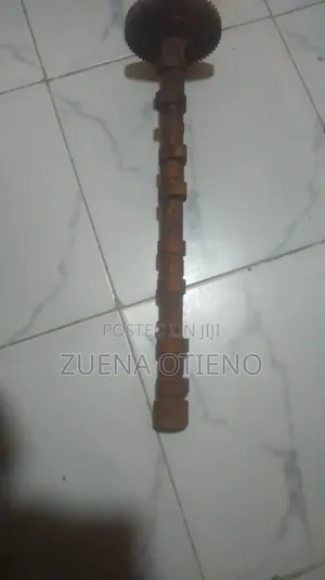 Engine Cam Shaft