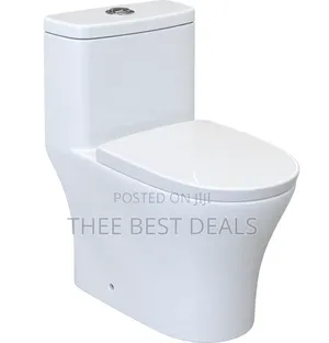 Wall-Hung Toilet