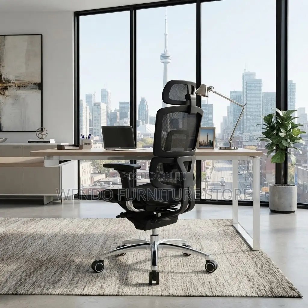 Office Chairs; Executive Modern Orthopedic Chair With Fold Footrest