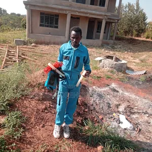 Borehole Drilling