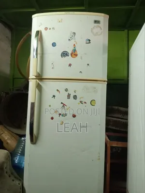 Fridge 303
