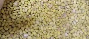 Fresh Yellow Beans