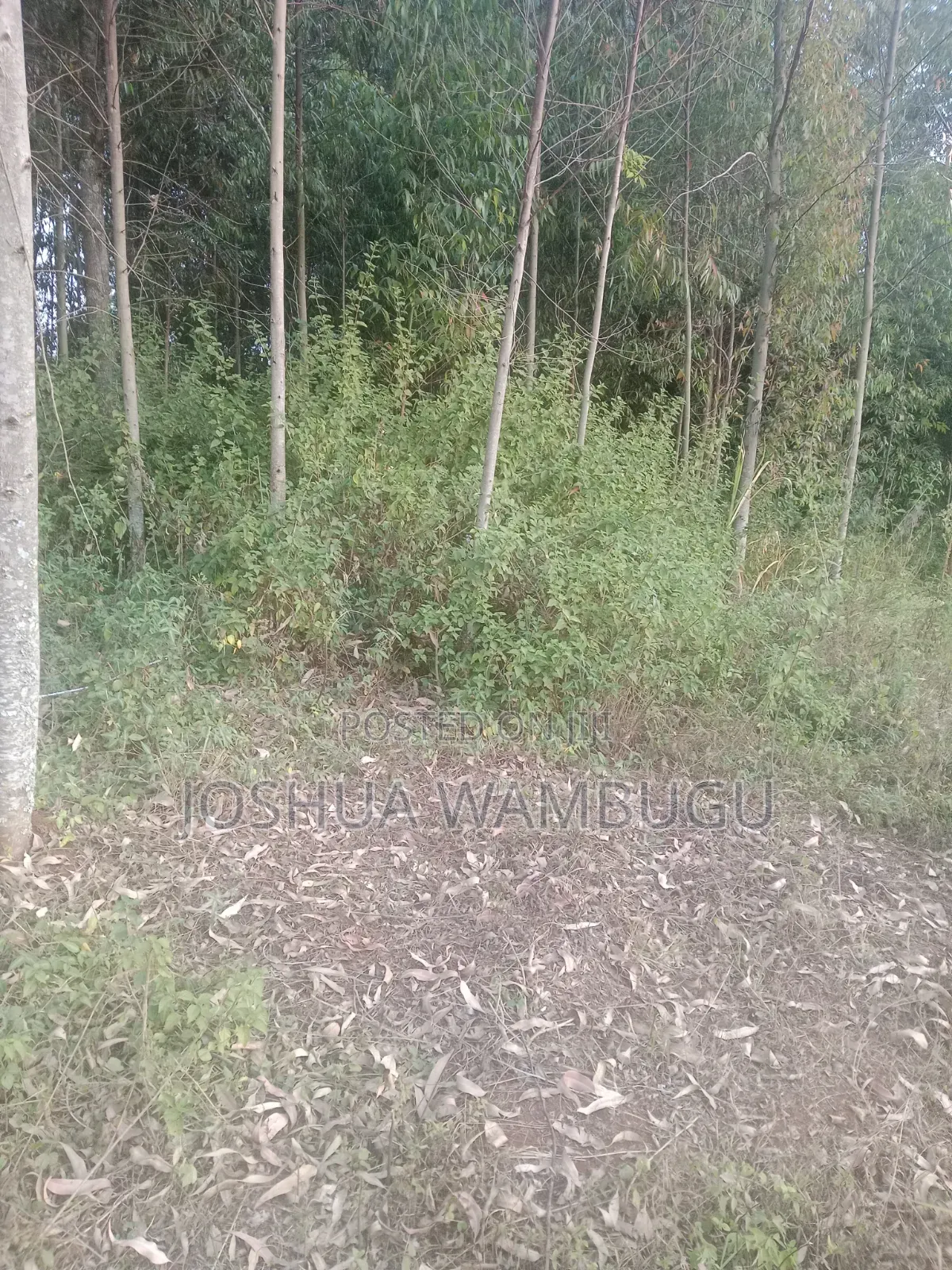 3.5 Acres at Ndakaini at 3.5m/Acre