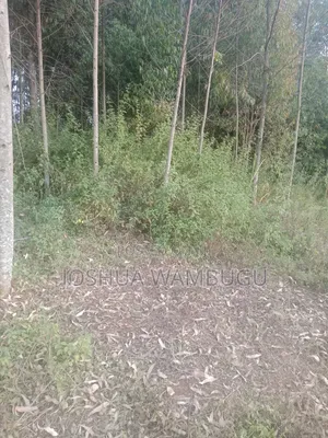3.5 Acres at Ndakaini at 3.5m/Acre