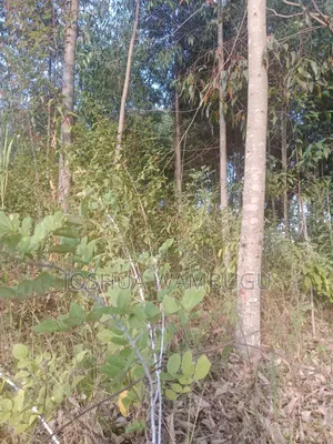 3.5 Acres at Ndakaini at 3.5m/Acre