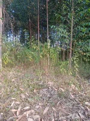 3.5 Acres at Ndakaini at 3.5m/Acre