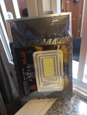 Outdoor IP65 Waterproof Aluminum Solar Garden Security 100W