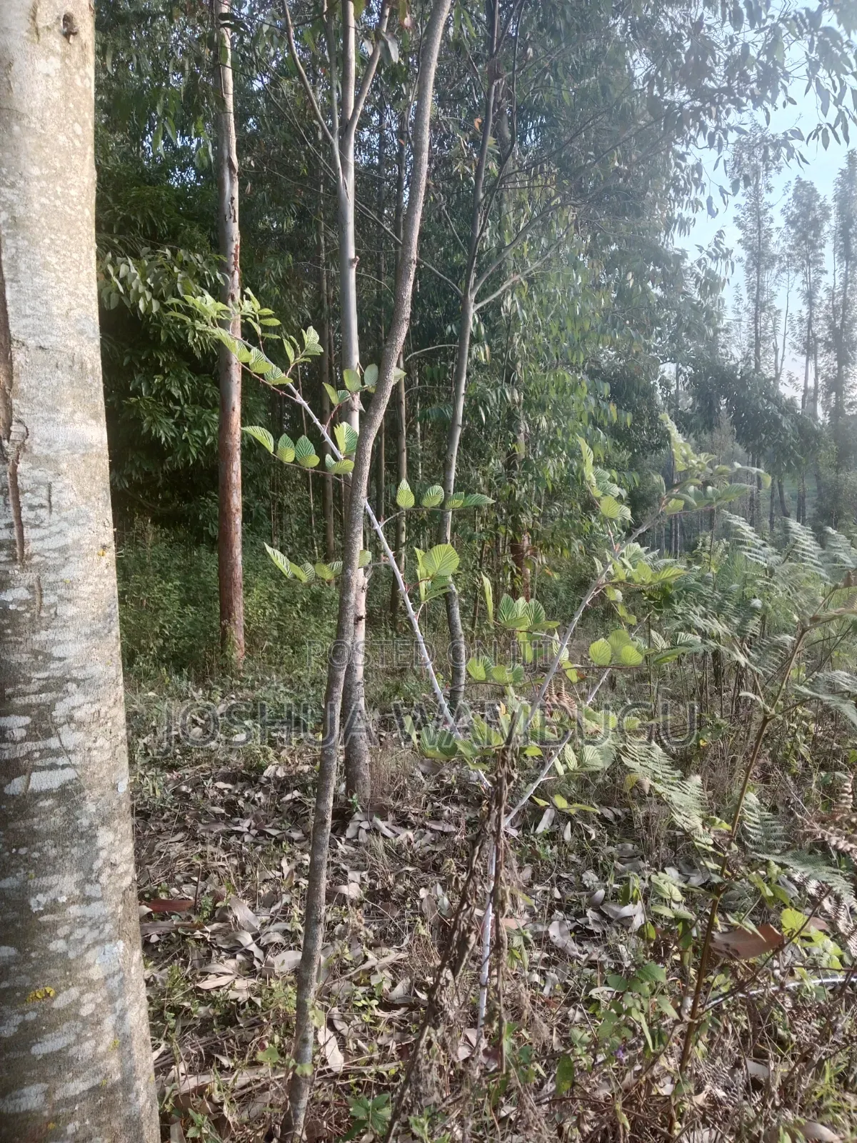 3.5 Acres at Ndakaini at 3.5m/Acre