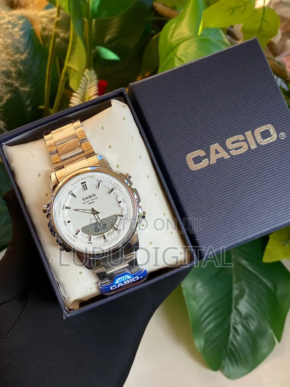 Casio Dual Time