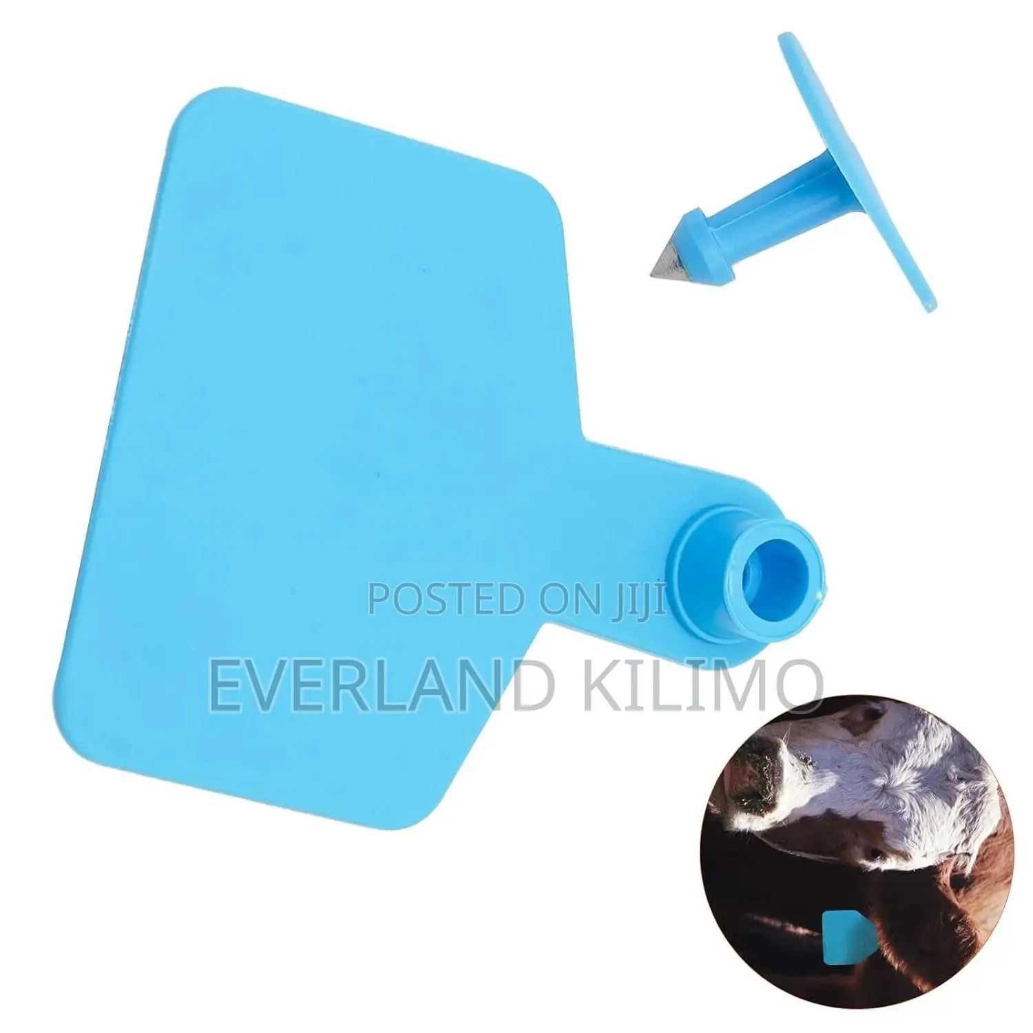 Large-Scale Cattle Plain Large Ear Tags