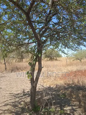 Land for Sale One Acre