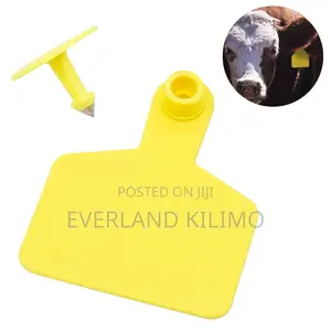 Cattle Plain Large Ear Tags for Herd Organization