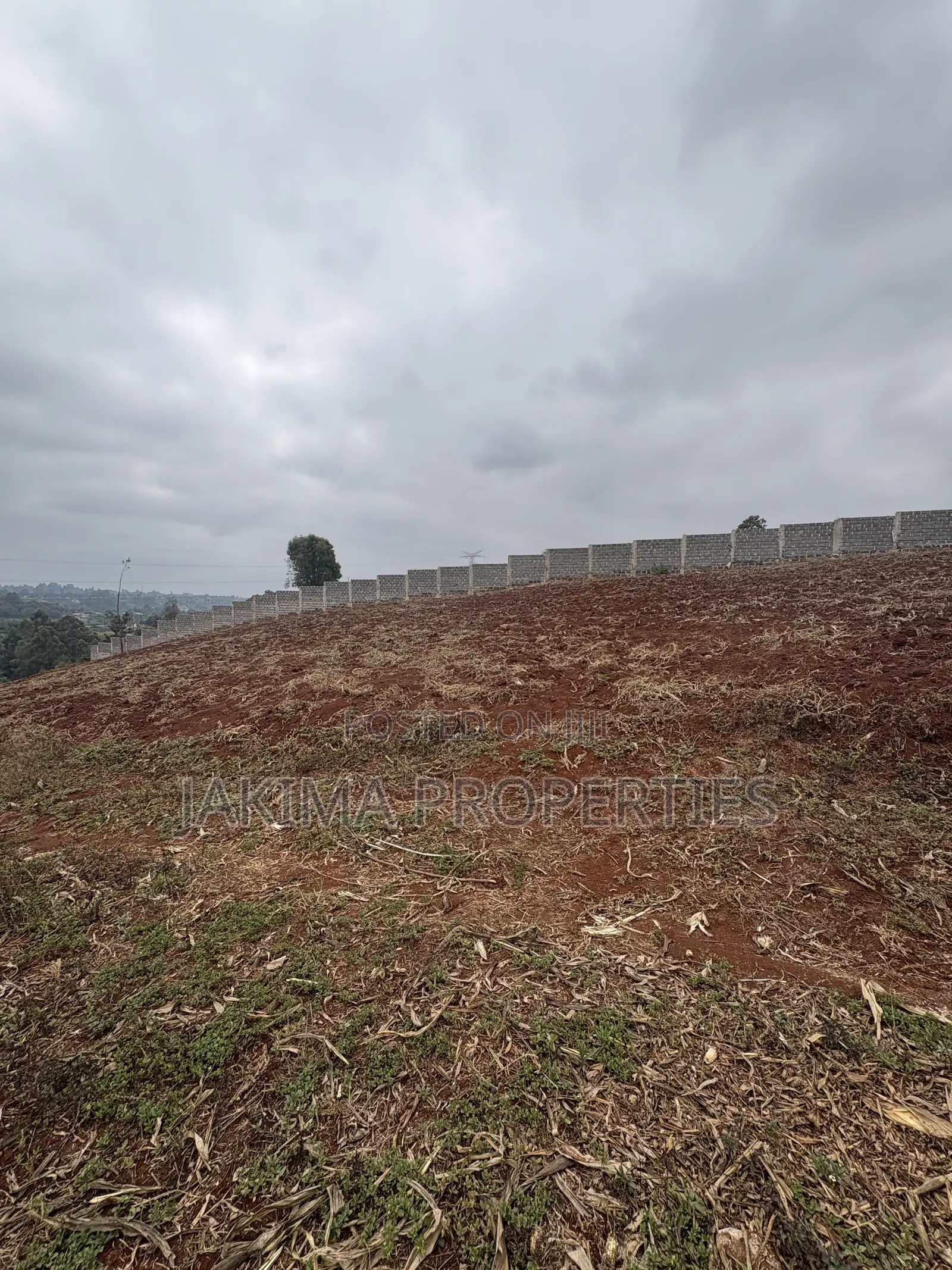 Land for Sale