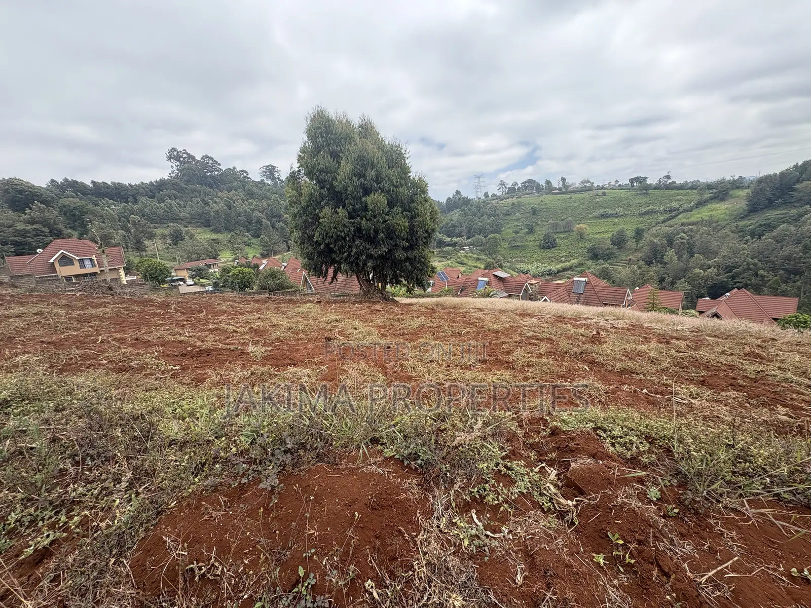 Land for Sale