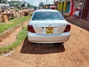 Toyota Axio 2009 Silver