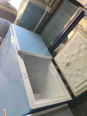 Baby Blue Double Doors Ramtoms Chest Freezer