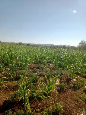 3 Acres on Sale at Murang'a -Mirira