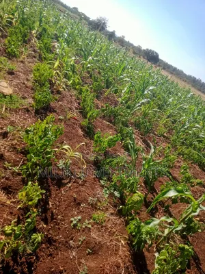 3 Acres on Sale at Murang'a -Mirira