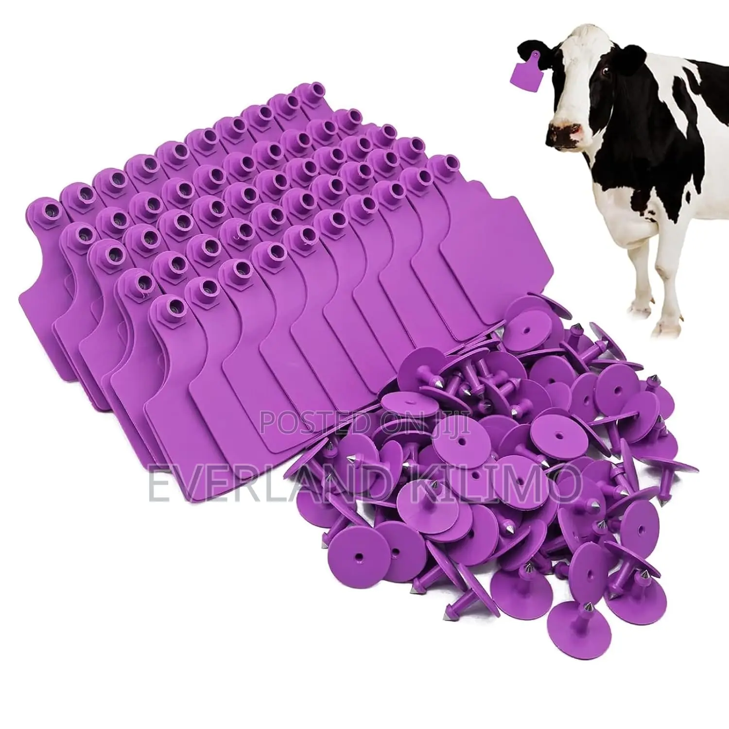 Cattle Plain Large Ear Tags for Herd Organization