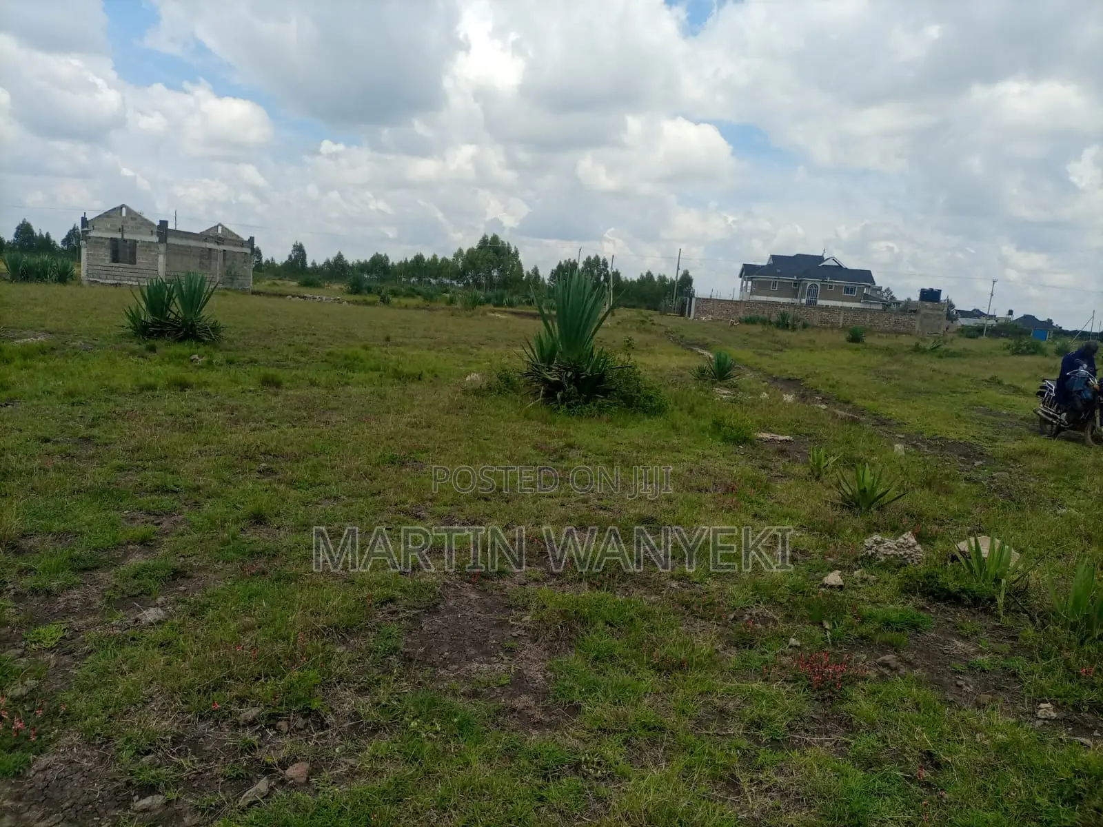 Juja Farm Mastore Plots