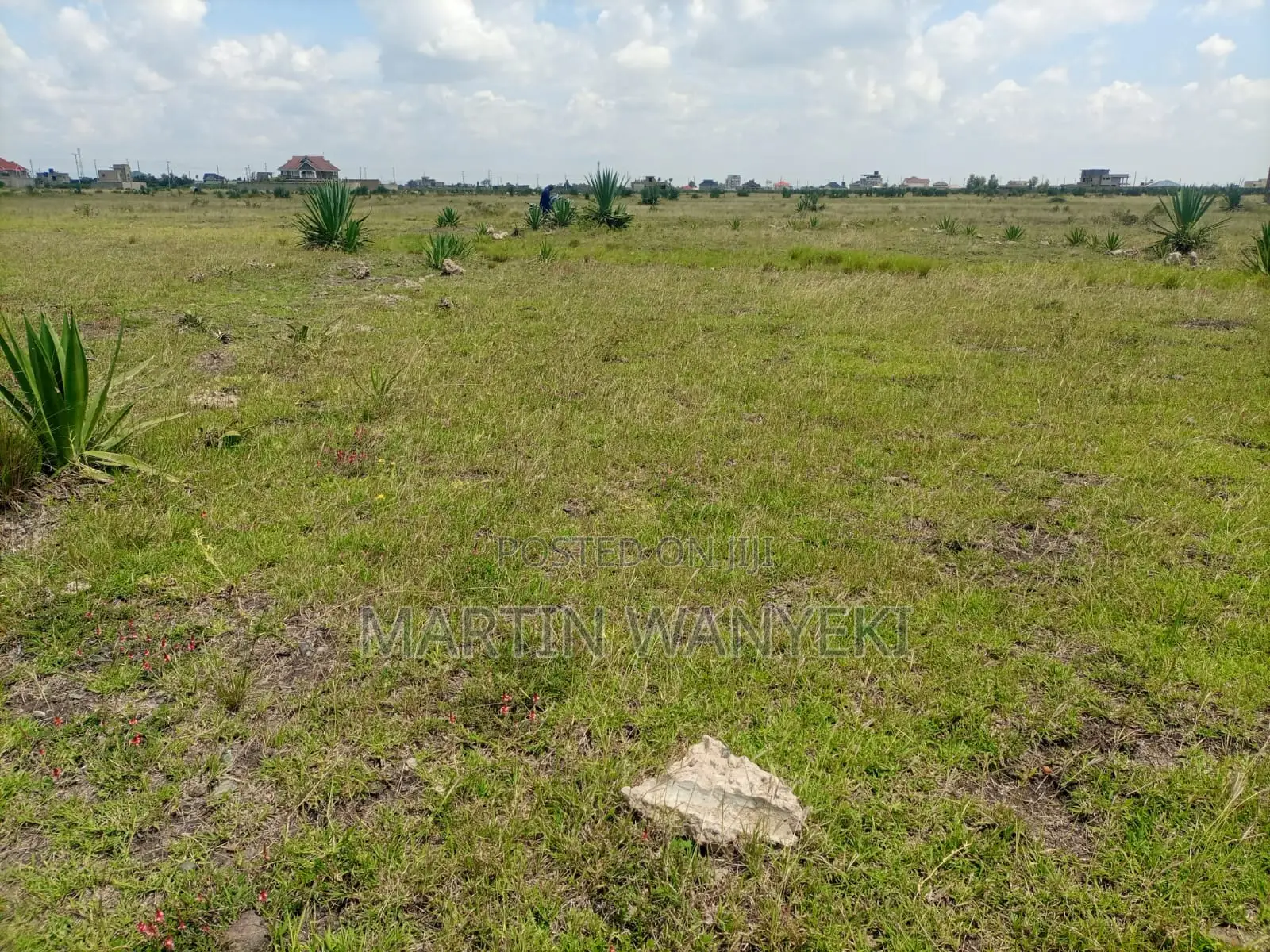 Juja Farm Mastore Plots