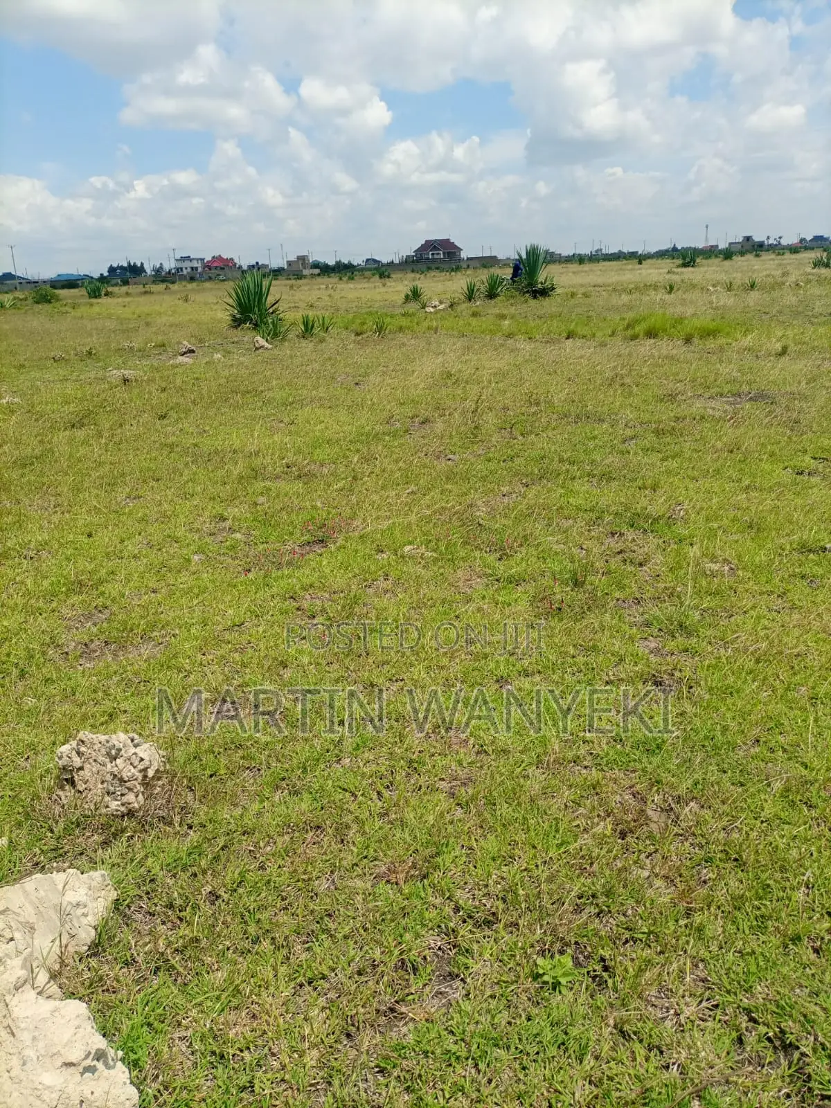 Juja Farm Mastore Plots