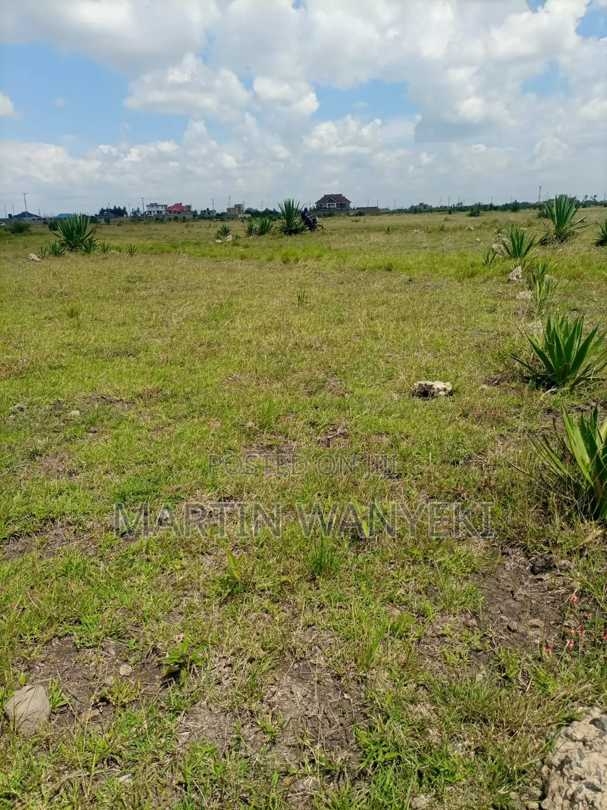 Juja Farm Mastore Plots
