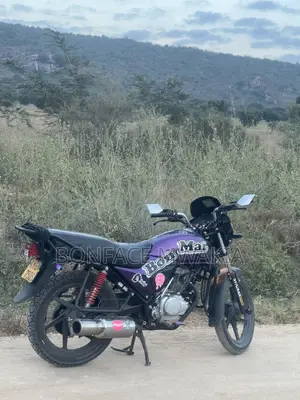 Honda CB 2024 Purple